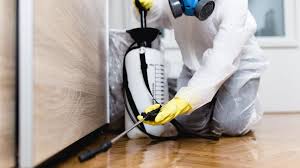 Best Residential Pest Control  in Gnadenhutten, OH