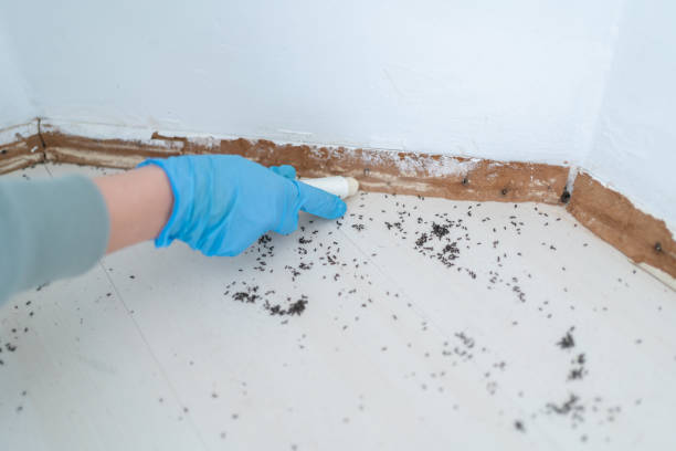 Best Pest Prevention Services  in Gnadenhutten, OH